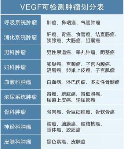 血管内皮生长因子的生物学功能