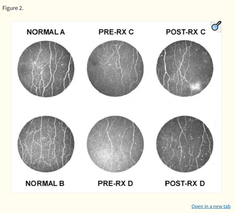 西比奈肽-3.png 西比奈肽-3.png