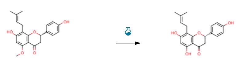 8-异戊烯基柚皮素的药理活性及制备工艺