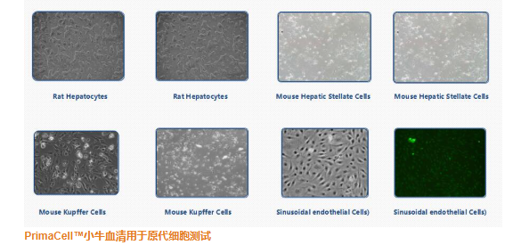 养细胞 6.png 养细胞 6.png