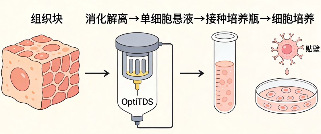 养细胞 11.png 养细胞 11.png