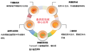 五星级 6.png 五星级 6.png