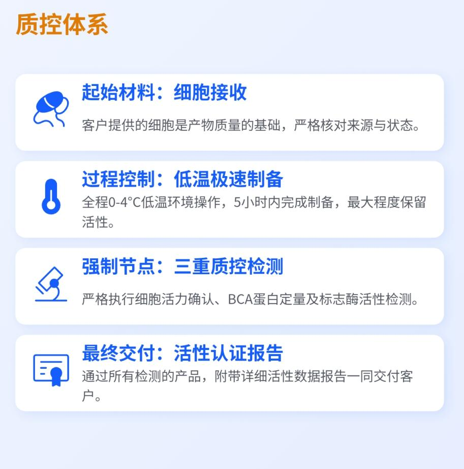制备与分析 3.png 制备与分析 3.png