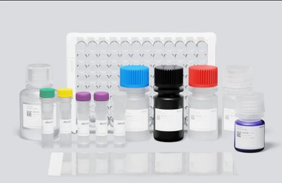 人细胞周期素D2(CYCLIN-D2)ELISA的介绍