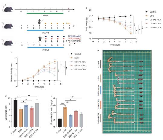 松柏醛的用途及制法