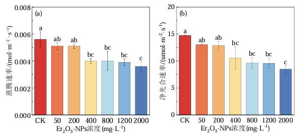 氧化铒的用途及制法