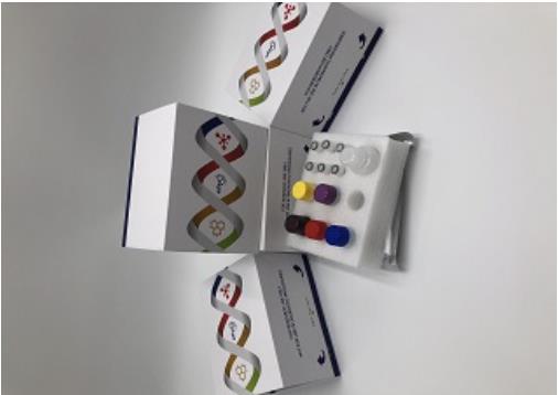 大鼠破骨细胞分化因子（ODF）ELISA试剂盒介绍和应用