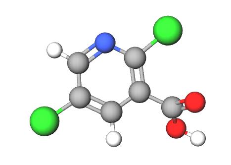 2,5-二氯烟酸的性质与应用
