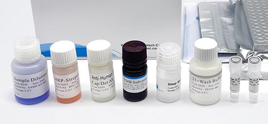 大鼠巨噬细胞移动抑制因子(MIF)ELISA试剂盒介绍应用