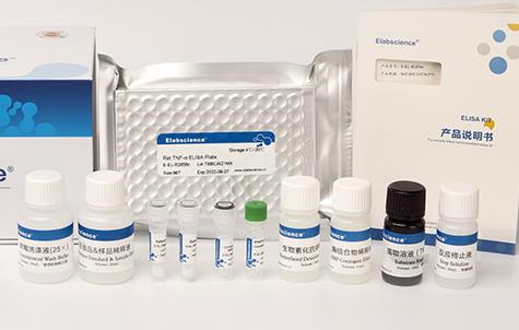 大鼠神经生长因子(NGF)ELISA试剂盒介绍与应用