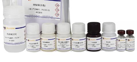 人红细胞生成素(EPO)ELISA试剂盒的介绍与研究应用