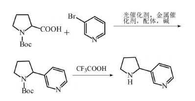 3-(吡咯烷-2-基)吡啶的制备
