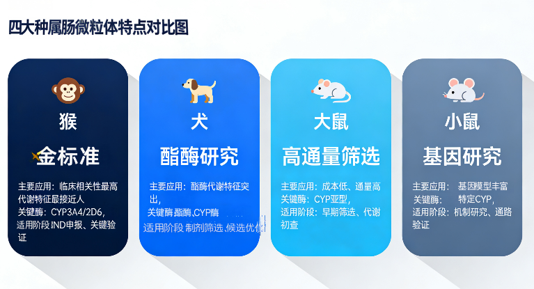 肠微粒体 2-1.png