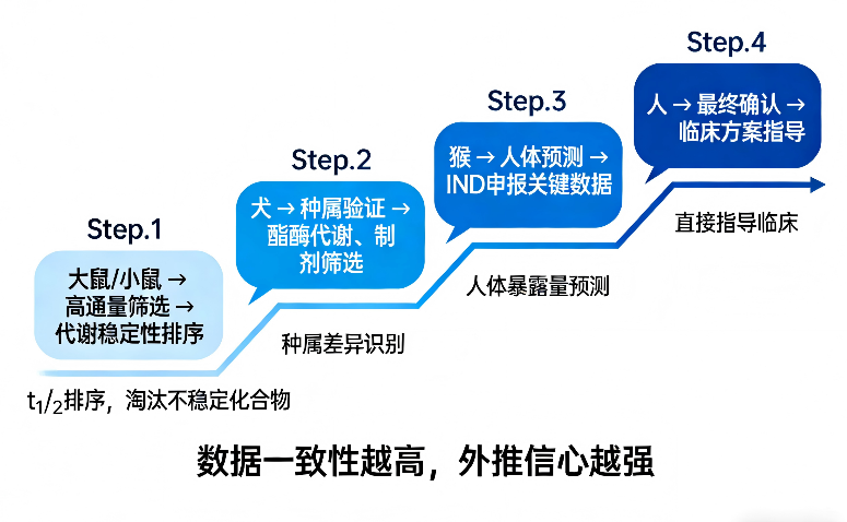 肠微粒体 2-4.png