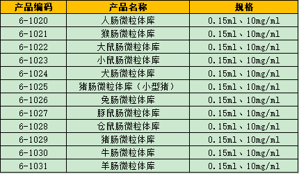 肠微粒体 2-5.png