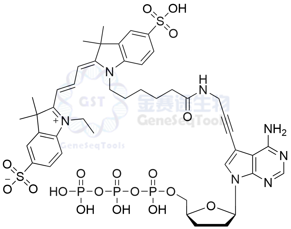 Cy3-ddATP结构式