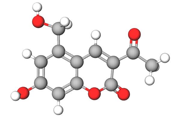 亮菌甲素的作用机制