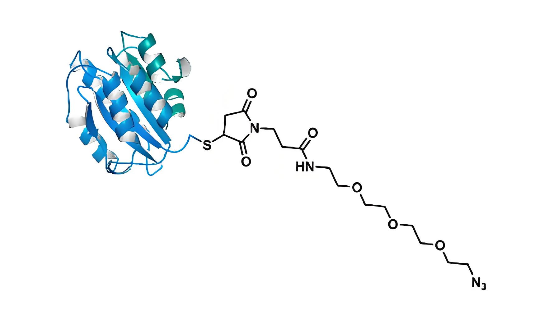4 BSA Azide,Bovine Serum Albumin (BSA)-Azide.png 4 BSA Azide,Bovine Serum Albumin (BSA)-Azide.png