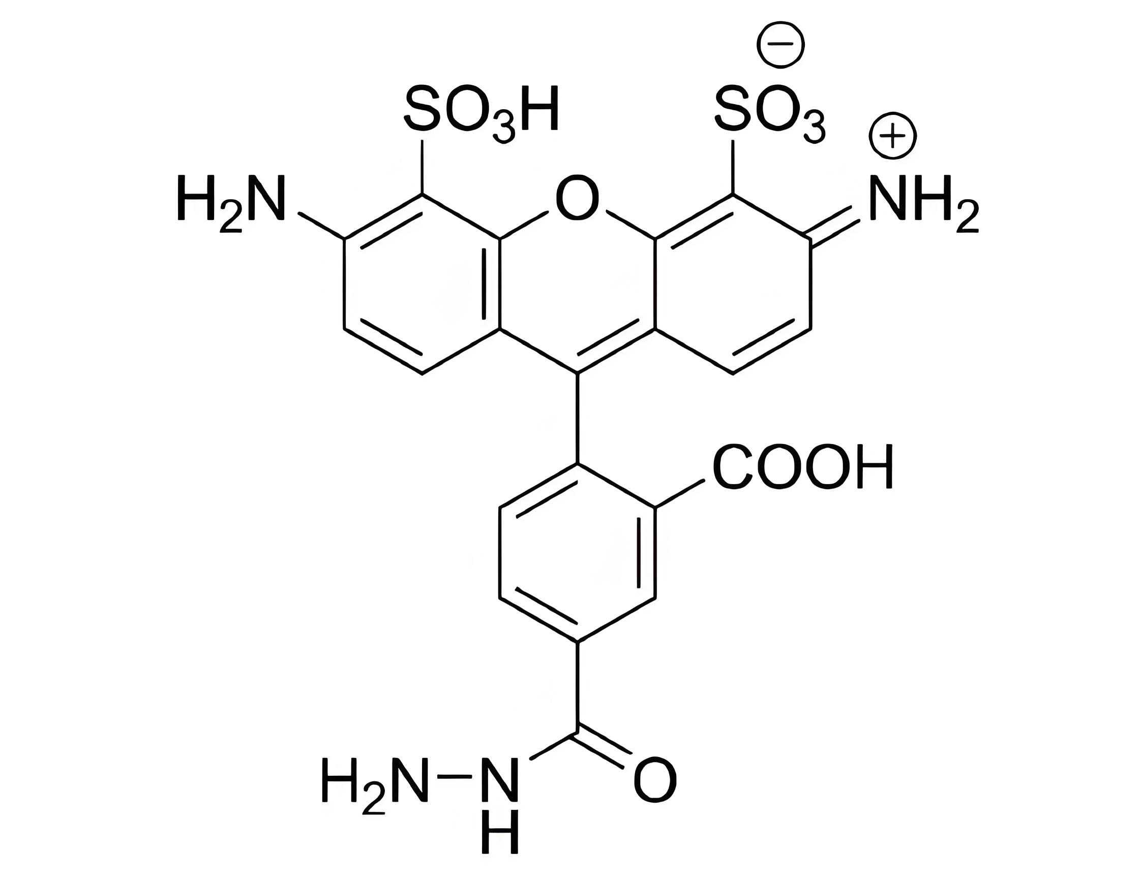 5 AZDye 488 Hydrazide.png 5 AZDye 488 Hydrazide.png