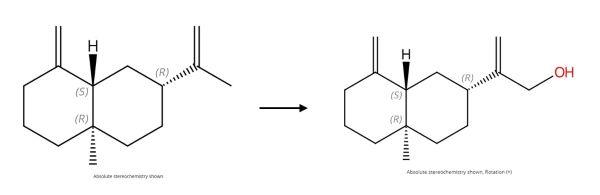 Β-瑟林烯下游产物合成.jpg Β-瑟林烯下游产物合成.jpg