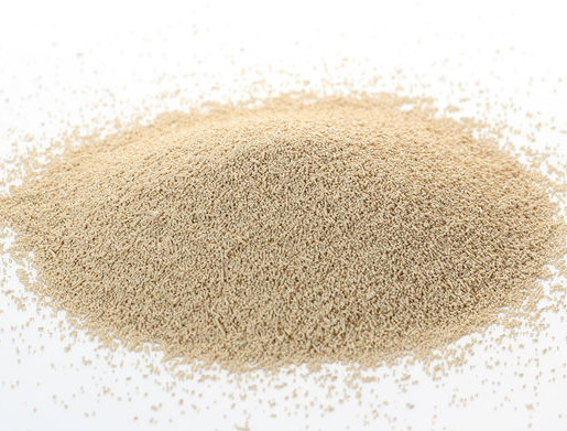 酵母提取物是什么？有何作用与功效？