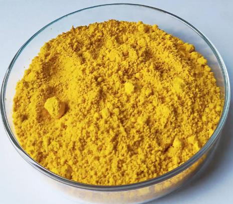 竹红菌乙素的活性研究进展