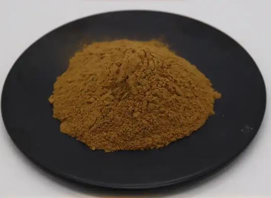 Article illustration