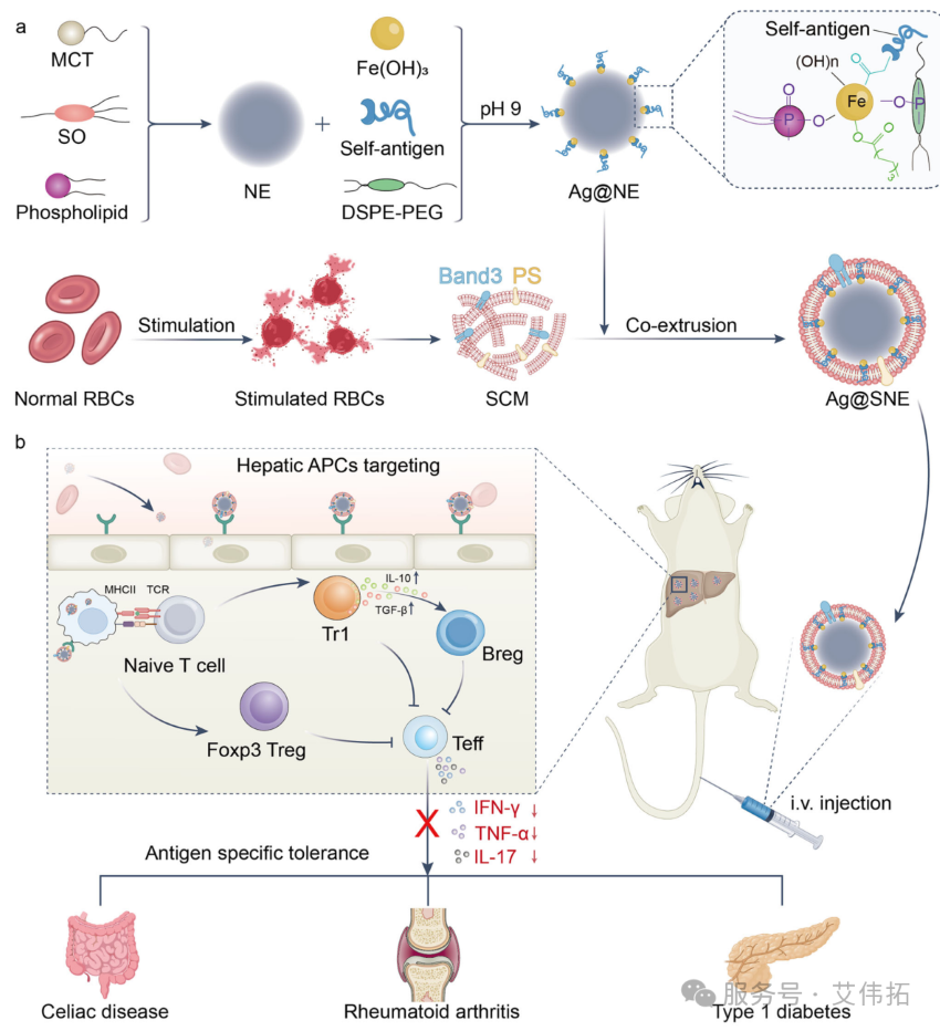 文献分享2.png 文献分享2.png