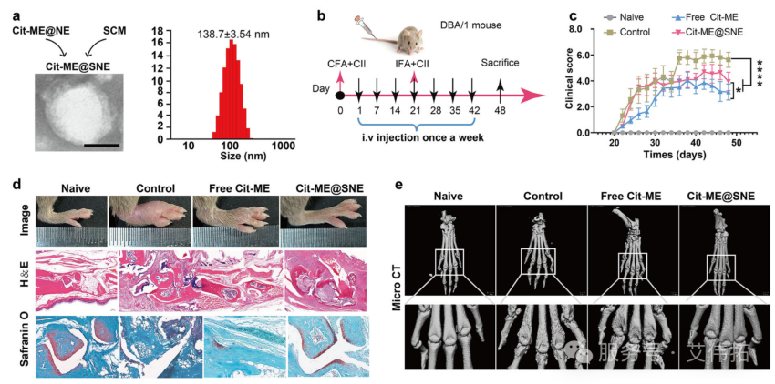 文献分享4.png 文献分享4.png