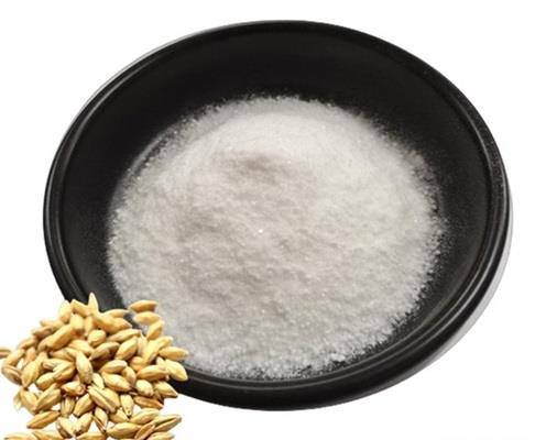 大麦芽碱的合成与应用