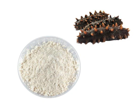 海参肽有什么功效与作用？对身体有危害吗？