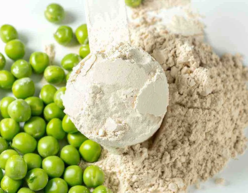 豌豆蛋白的功效与副作用