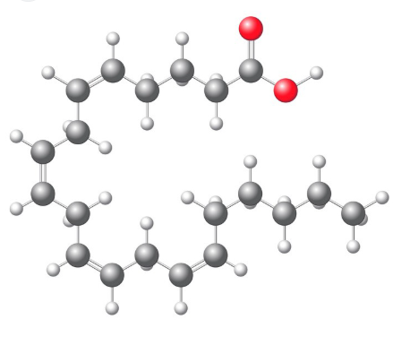 ARA粉是什么？有何功效与作用？