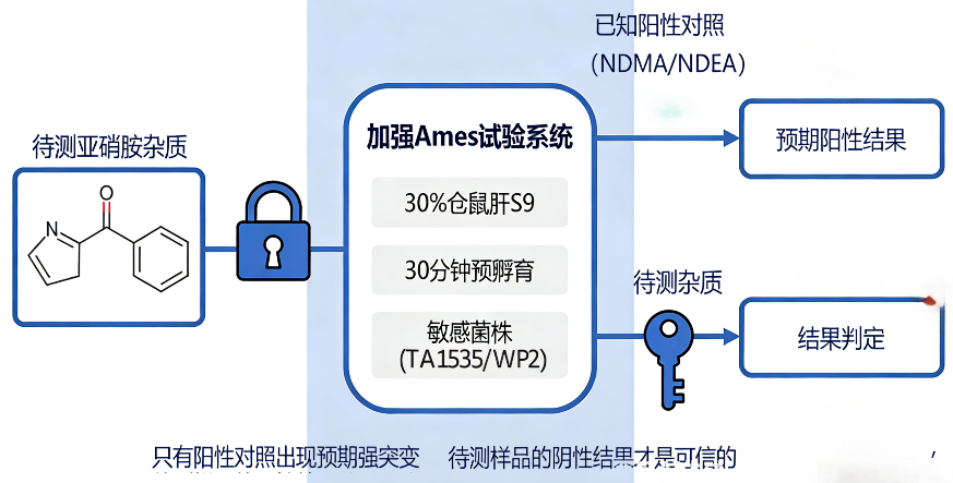 代谢π析 5-1.png 代谢π析 5-1.png