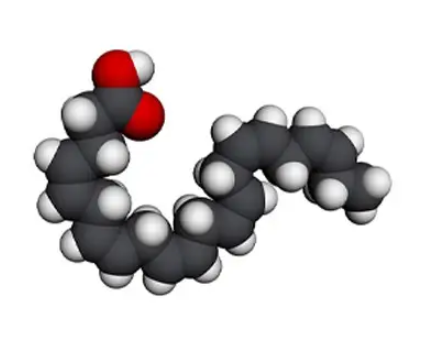 鱼油粉是什么？有何作用？