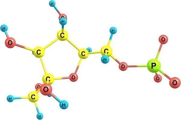 4.15-1.jpg 4.15-1.jpg