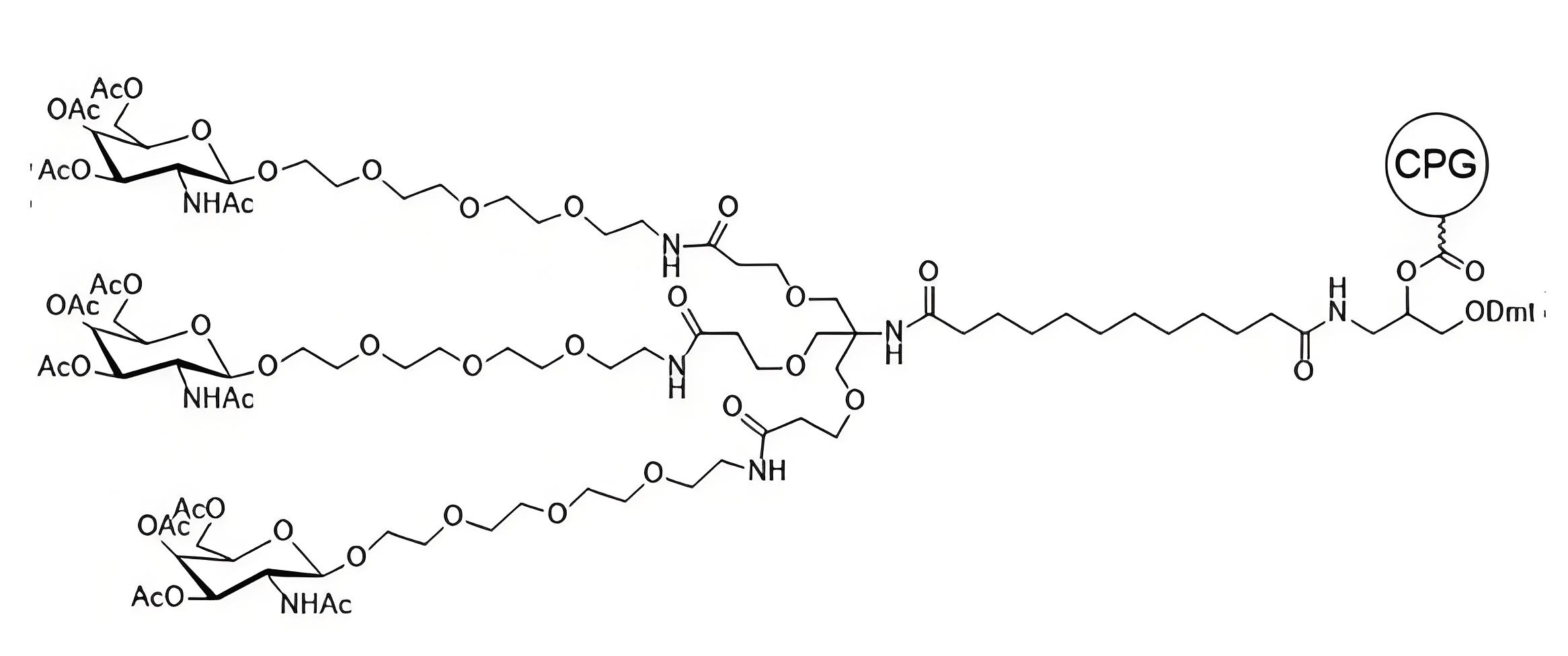 3 GALNAC (TEG)-CPG （Kx）.png