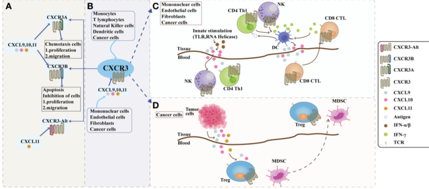 屏幕截图 2026-04-20 145337.png
