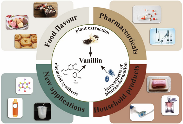 Article illustration