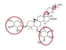 Astragaloside IV