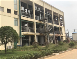 2-(2,7-DICHLORO-9H-FLUORENYL-4-YL)OXIRANE