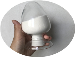 Food Grade Aminopeptidase