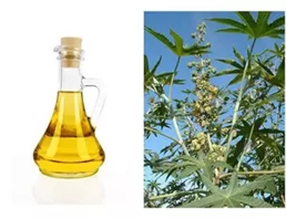Castor oil