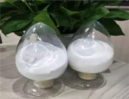 (3-Fluoro-4-morpholin-4-ylphenyl)carbamic acid benzyl ester