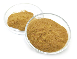 Isatis indigotica fort Extract