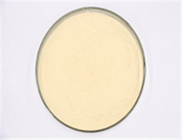 Compound K-Ginsenoside CK