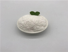 preservative Methyl Paraben