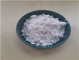 Nicotinamide Riboside