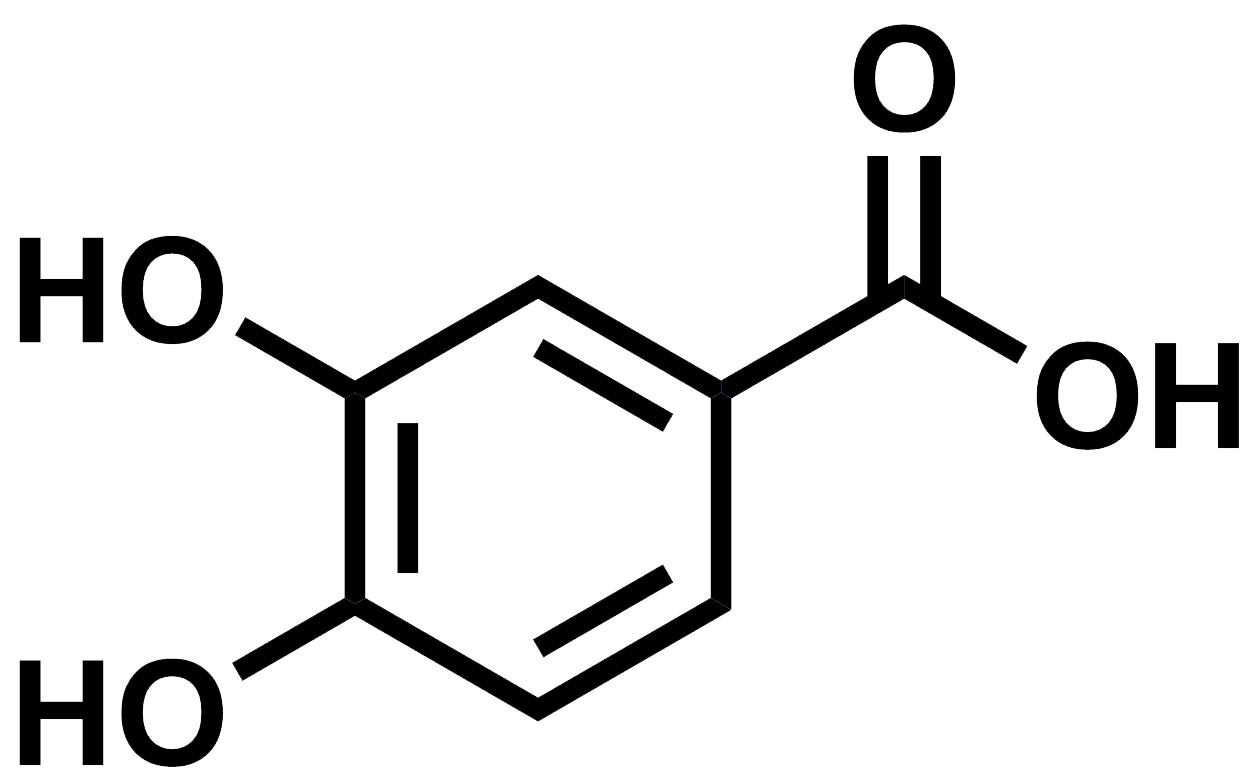 3,4-Dihydroxybenzoic Acid.png