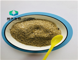 Alkaline Protease /alkaline proteinase